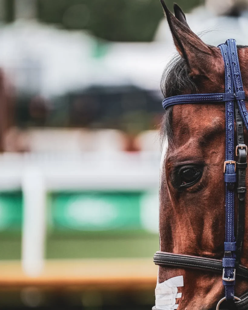 Kentucky Derby horse head